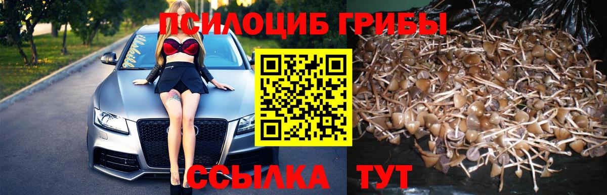 Галлюциногенные грибы ЛСД Кашира