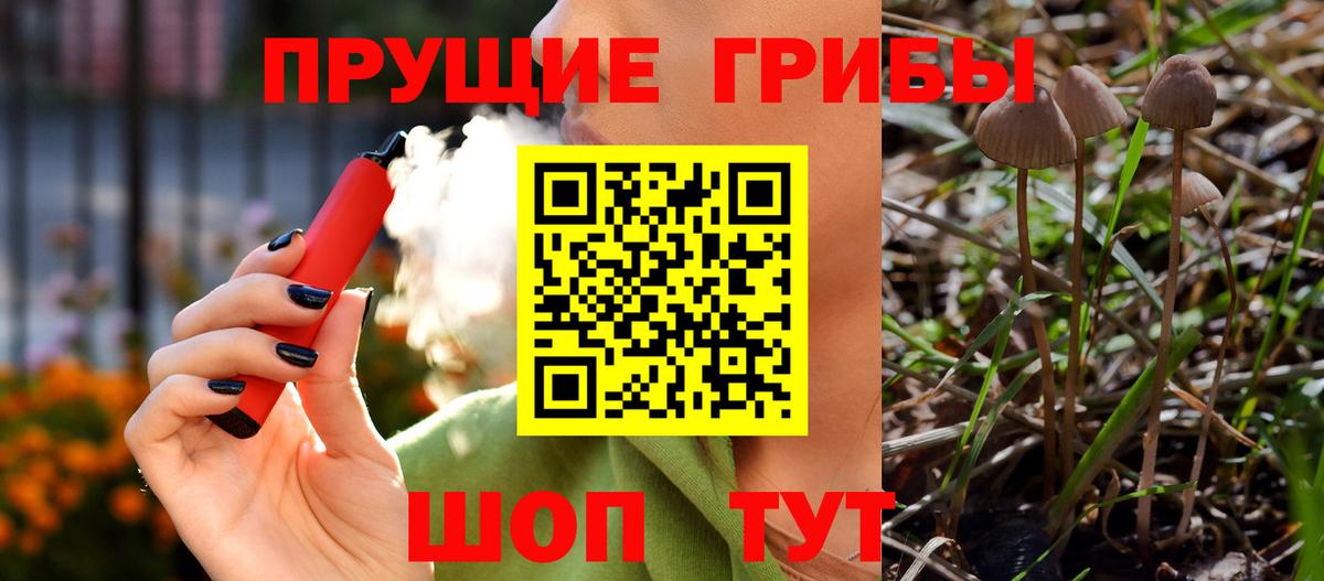 Галлюциногенные грибы GOLDEN TEACHER  Вход с VPN  Кашира 